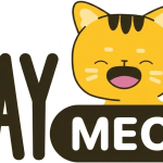 Vaymeo logo