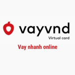VayVND logo